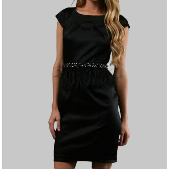 Alexia Admor Dresses & Skirts - Alexia Admor Black Beaded Feather Fringe Waist Sheath Dress Size Large NWT